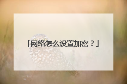 网络怎么设置加密？