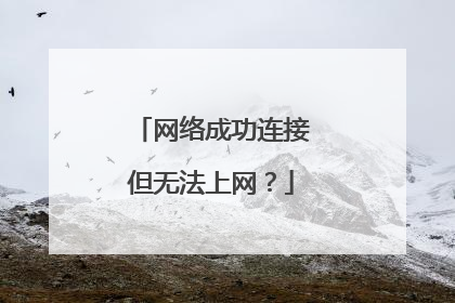网络成功连接但无法上网？