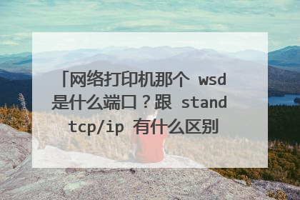 网络打印机那个 wsd 是什么端口?跟 stand tcp/ip 有什么区别?stand tcpi