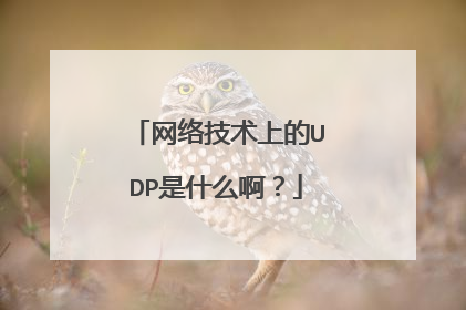网络技术上的UDP是什么啊?