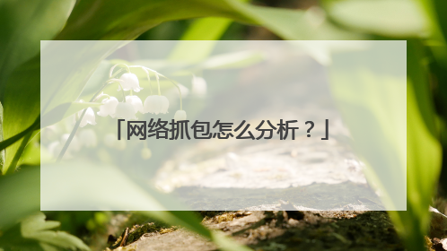 网络抓包怎么分析？