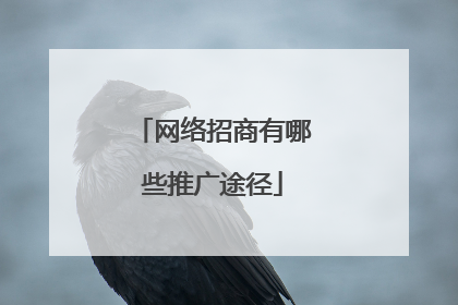 网络招商有哪些推广途径