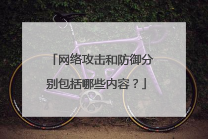 网络攻击和防御分别包括哪些内容？