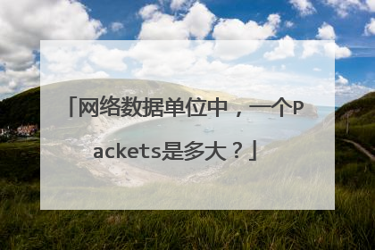 网络数据单位中,一个Packets是多大?