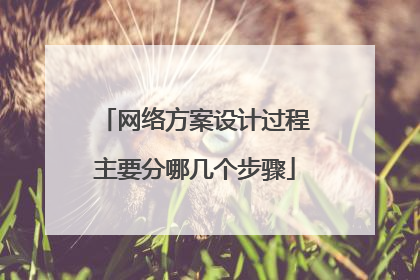 网络方案设计过程主要分哪几个步骤