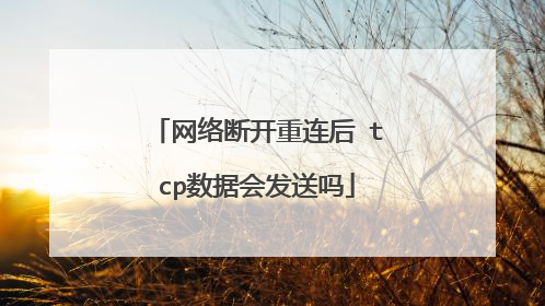 网络断开重连后 tcp数据会发送吗