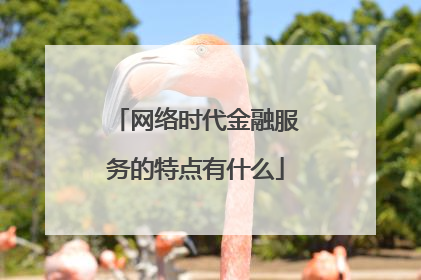 网络时代金融服务的特点有什么