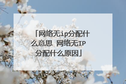 网络无ip分配什么意思 网络无IP分配什么原因