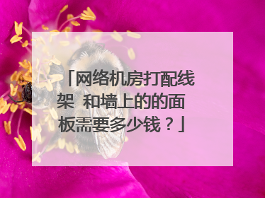 网络机房打配线架 和墙上的的面板需要多少钱？
