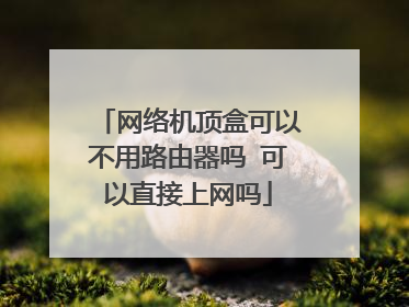 网络机顶盒可以不用路由器吗 可以直接上网吗