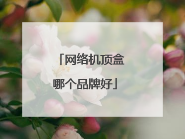 网络机顶盒哪个品牌好