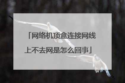 网络机顶盒连接网线上不去网是怎么回事