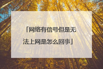 网络有信号但是无法上网是怎么回事