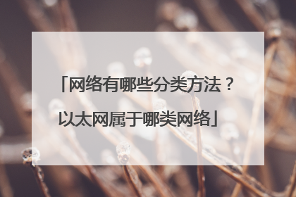 网络有哪些分类方法？以太网属于哪类网络