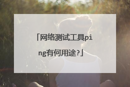 网络测试工具ping有何用途?