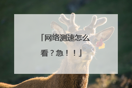 网络测速怎么看?急!!