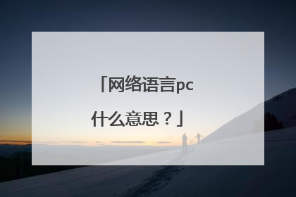网络语言pc什么意思?