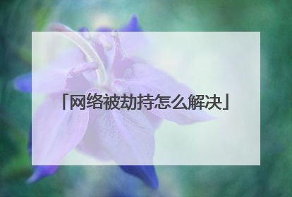 网络被劫持怎么解决