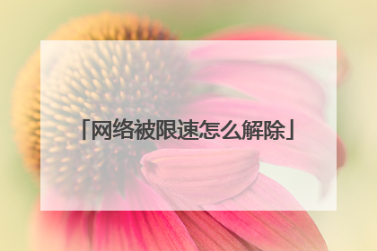 网络被限速怎么解除