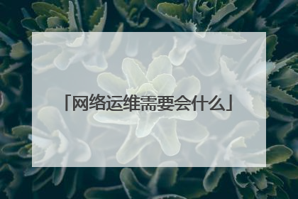 网络运维需要会什么