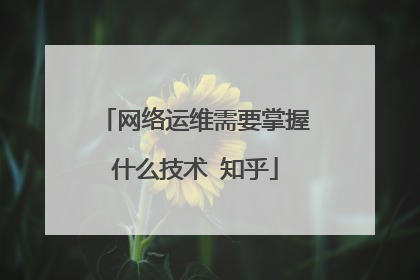 网络运维需要掌握什么技术 知乎