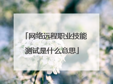 网络远程职业技能测试是什么意思