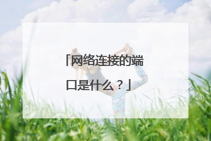 网络连接的端口是什么？