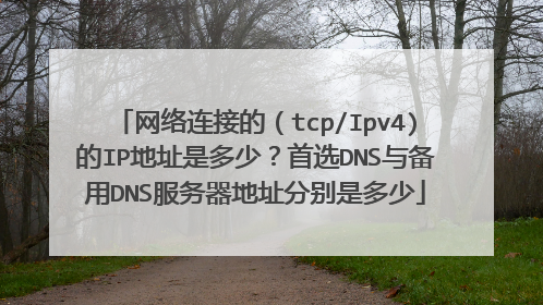 网络连接的（tcp/Ipv4)的IP地址是多少？首选DNS与备用DNS服务器地址分别是多少