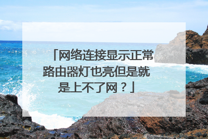 网络连接显示正常路由器灯也亮但是就是上不了网？