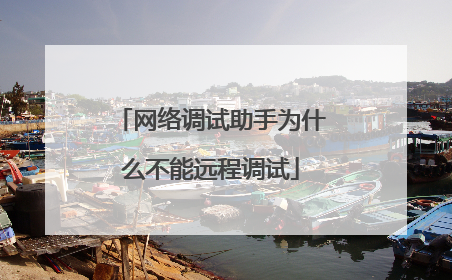 网络调试助手为什么不能远程调试