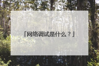 网络调试是什么?
