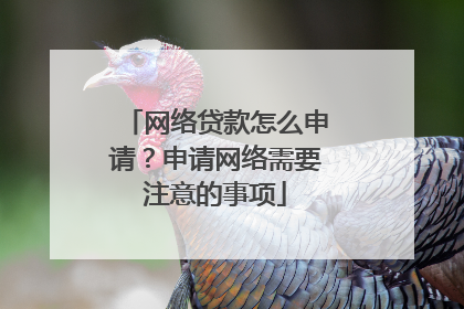 网络贷款怎么申请？申请网络需要注意的事项