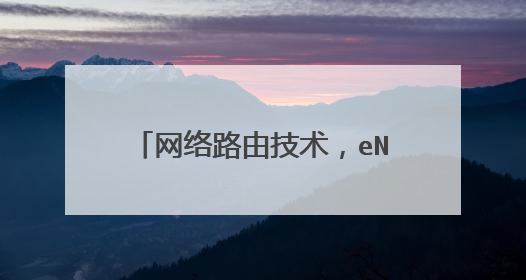 网络路由技术,eNSP这个怎么配置
