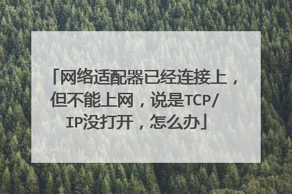 网络适配器已经连接上,但不能上网,说是TCP/IP没打开,怎么办