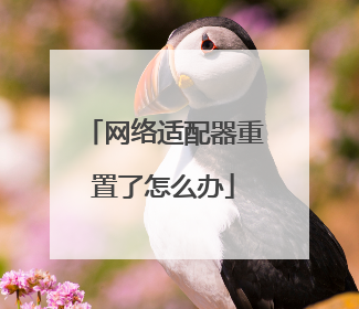 网络适配器重置了怎么办