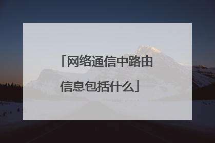 网络通信中路由信息包括什么