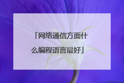 网络通信方面什么编程语言最好