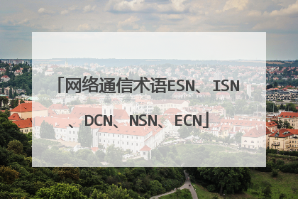 网络通信术语ESN、ISN、DCN、NSN、ECN