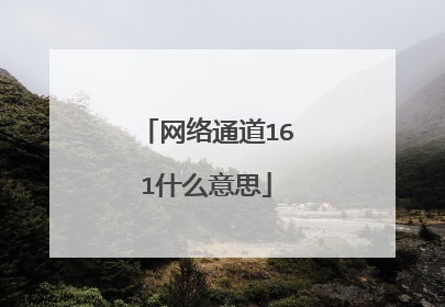网络通道161什么意思