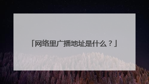 网络里广播地址是什么?