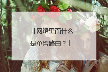 网络里面什么是单臂路由？