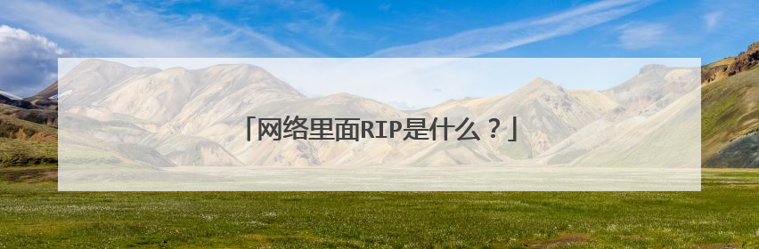 网络里面RIP是什么？