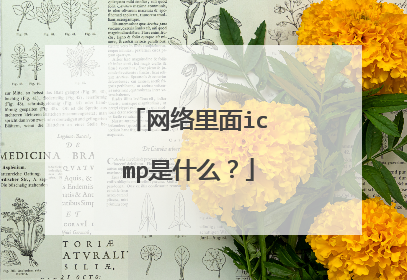 网络里面icmp是什么?