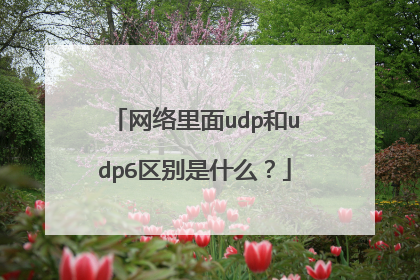 网络里面udp和udp6区别是什么?