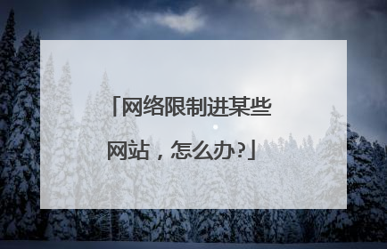 网络限制进某些网站，怎么办?