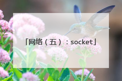 网络（五）：socket