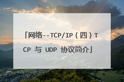 网络--TCP/IP（四）TCP 与 UDP 协议简介