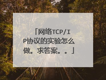 网络TCP/IP协议的实验怎么做。求答案。。