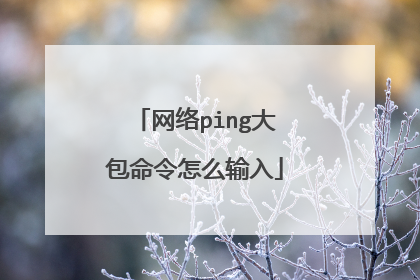 网络ping大包命令怎么输入