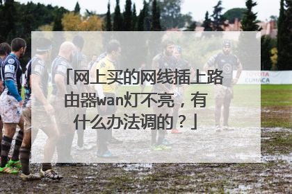 网上买的网线插上路由器wan灯不亮，有什么办法调的？